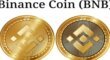 What Is BNB? How To Get Profit From It? 12 BNB