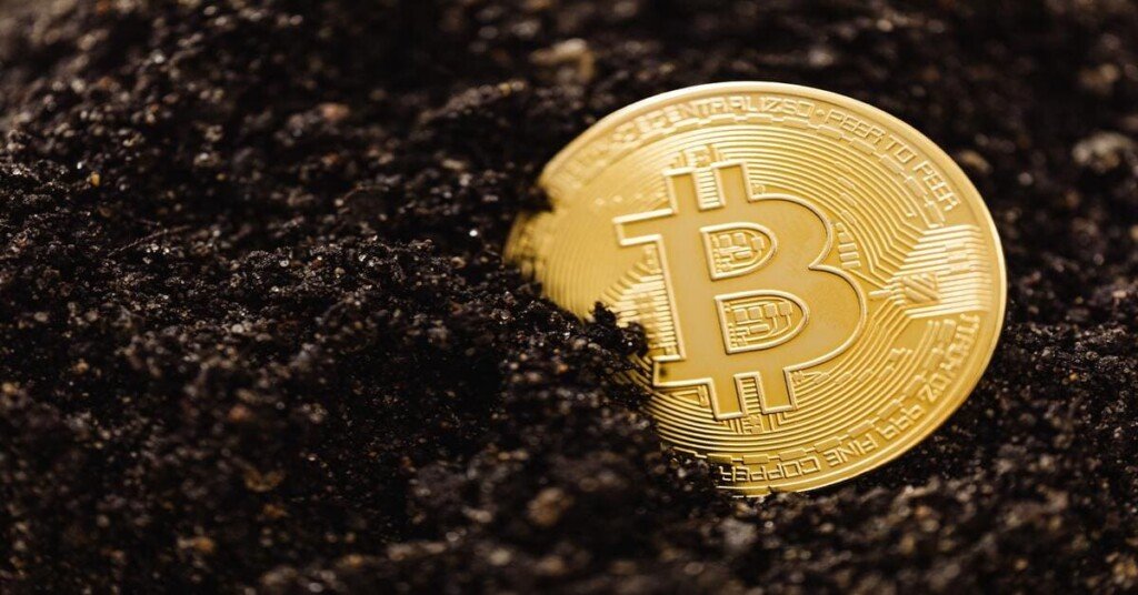Cryptocurrency 33 BUSD: All You Need To Know About Binance USD