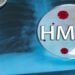 HMPV