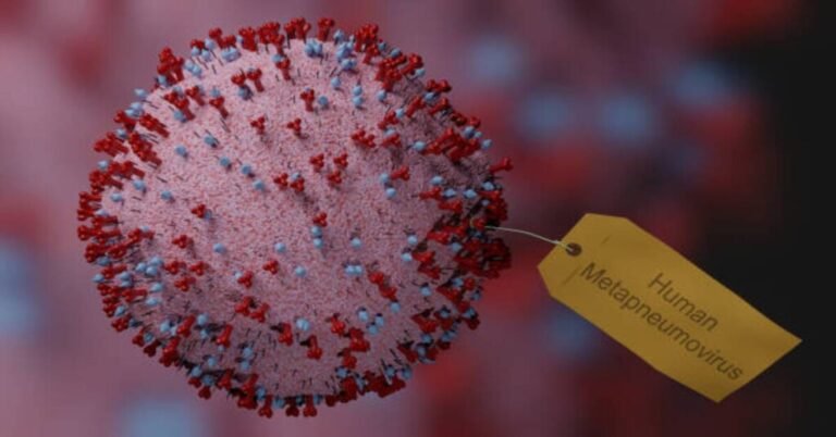 Is HMPV the New COVID? Understanding the Virus Impacting China 6 HMPV